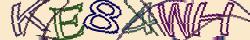 Retype the CAPTCHA code from the image